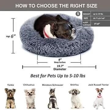 Soft Calming Dog Bed for Small Breeds Easy Care