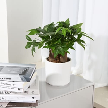 FOPAMTRI Matte White Ceramic Planter Pots for Plants