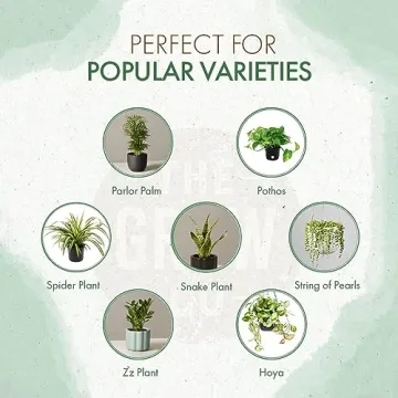 Organic Indoor Plant Food - All-Purpose Liquid Fertilizer