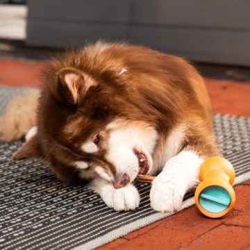 Bow Wow Labs 6" Bully Sticks | 100% Natural Treats