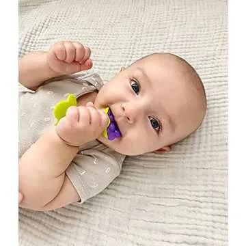 RaZbaby Fruit-Shaped Teether Pack for Infants 3M+
