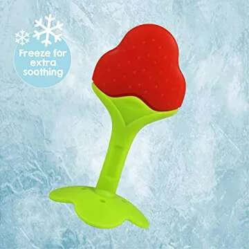 RaZbaby Fruit-Shaped Teether Pack for Infants 3M+
