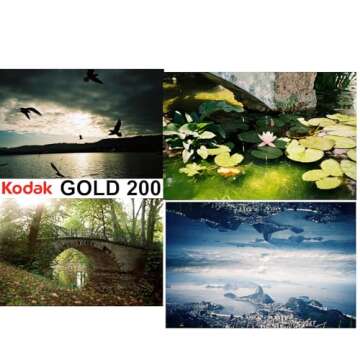 Kodak Gold 200 Color Negative Film (ISO 200) 35mm 36-Exposures, 603 3997