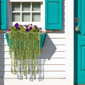 CEWOR 4pcs Artificial Hanging String of Pearls - Indoor/Outdoor Decor