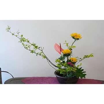 JapanBargain 2303, Japanese Ikebana Kenzan Flower Frog for Flower Arrangements Brass Floral Arranging Pin Needle Holder Made in Japan, 3-3/4x1-1/2 inch