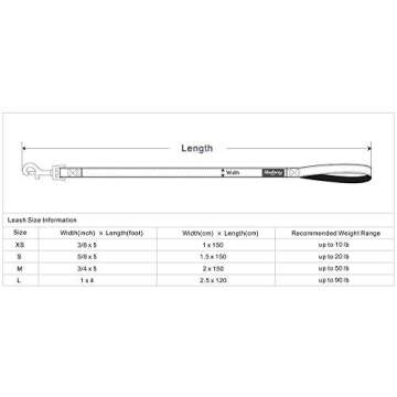 Blueberry Pet Essentials Durable Classic Dog Leash | Basic Nylon Dog Leash | 5ft. x 3/8" X-Small Dog...