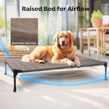 Veehoo Cooling Elevated Dog Bed with Bolster Cushion Removable