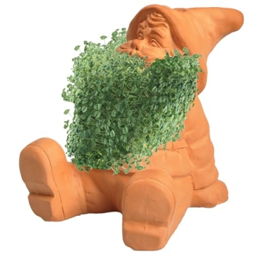 Chia Pet Gnome Planter for Fun and Easy Growing