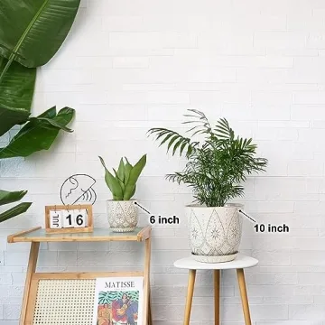 Gepege 10 Inch Plant Pot - Elegant Ceramic Planter