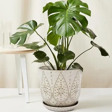 Gepege 10 Inch Plant Pot - Elegant Ceramic Planter