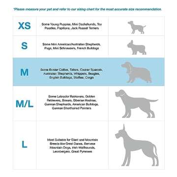 Blue-9 Buckle-Neck Balance Harness, Fully Customizable Fit No-Pull Harness, Ideal for Dog Training and Obedience, Made in The USA, Orange, Medium