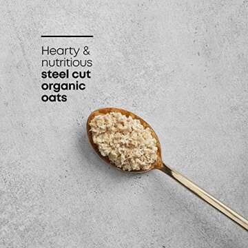 Nature's Path Organic Quick Cook Oatmeal 11.3 oz Pack of 6