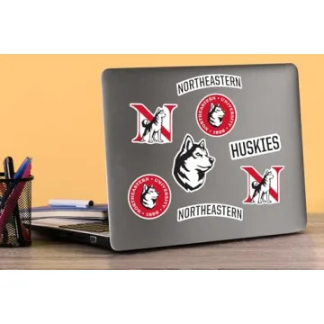 Northeastern University Spirit Stickers Variety Pack for Fans