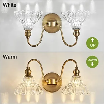 TLOLGT Antique 2-Light Wall Sconce Elegant Bathroom Light