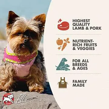 Fromm Four-Star Nutritionals Lamb & Lentil Dog Food - Premium Dry Dog Food - Lamb Recipe - 4 lb