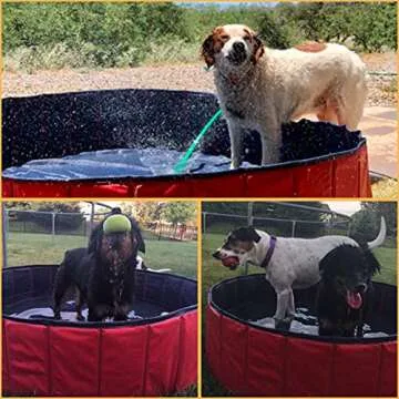 Erfo Portable Foldable Pet Swimming Pool for Dogs