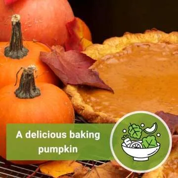 Sow Right Seeds - Small Sugar Pumpkin Seed for Planting - Non-GMO Heirloom Packet with Instructions to Plant a Home Vegetable Garden - Mini Orange Sugar Variety on Long Vines - Fast Growing (1)