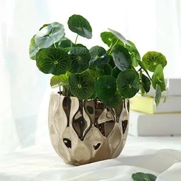 MyGift 6-Inch Gold Ceramic Indoor Plant Pot