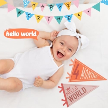 VitalCozy 14 Pcs Baby Milestone Pennant Banner Flags