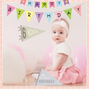 VitalCozy 14 Pcs Baby Milestone Pennant Banner Flags