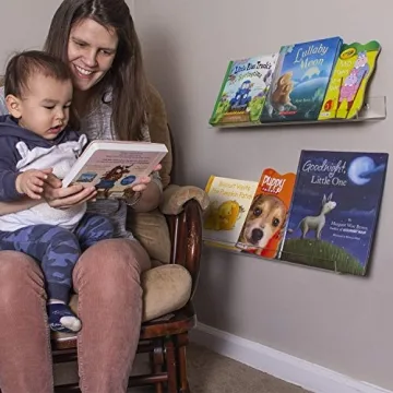 Dwelling With Pride 24 Inch Acrylic Shelf - Stylish & Durable