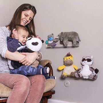 Dwelling With Pride 24 Inch Acrylic Shelf - Stylish & Durable