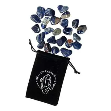 The Chrysalis Stone | Tumbled Stone | Sodalite | 0.75" - 1.25" | 1 Pc