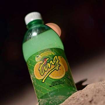 Ting Lightly Carbonated Soda, 20 Oz, (Pack of 24)