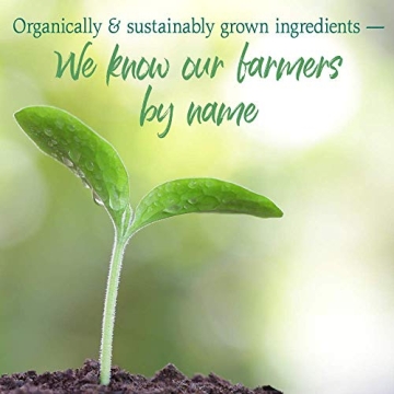 Organic Green Superfood Powder for Energy & Detox