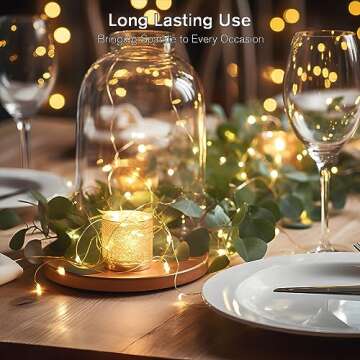 createreedo 16.5 FT Battery Fairy String Lights for Decor