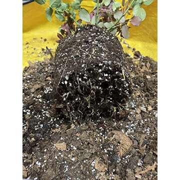 Organic Perlite for Enhanced Plant Drainage - 5QT Size