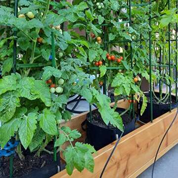 Sturdy 48 Inch Steel Garden Stakes - 25 Pack for Climbing Plants, Tomatoes, and More