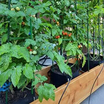 Sturdy 48 Inch Steel Garden Stakes - 25 Pack for Climbing Plants, Tomatoes, and More