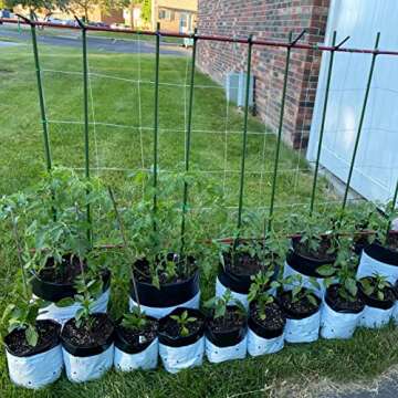 Durable 48 Inch Steel Garden Stakes for Plant Support