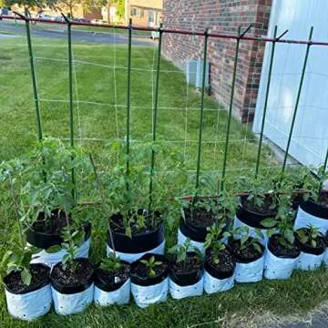 Durable 48 Inch Steel Garden Stakes for Plant Support