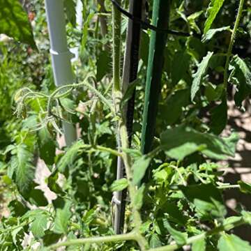 Durable 48 Inch Steel Garden Stakes for Plant Support