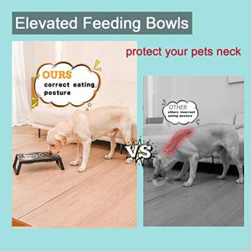 Elevated Food and Water Feeder for Pets