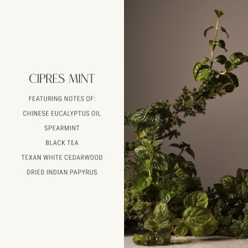 Homecourt Surface Cleaner Spray for a Refreshing Clean Experience