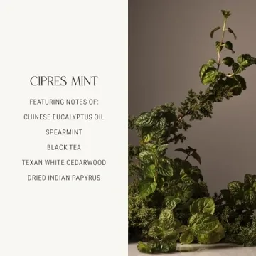 Homecourt Surface Cleaner Spray for a Refreshing Clean Experience