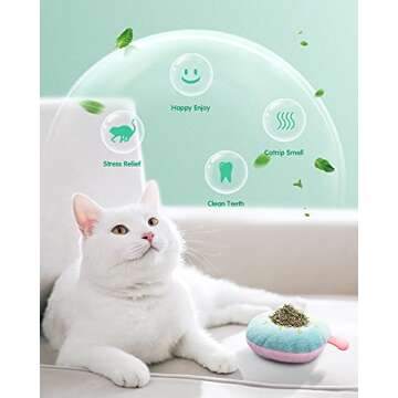 Feeko 6Pcs Catnip Toys, Cat Toys for Indoor Cats, Rattle Sound, Pillows Cat Crinkle Toys, Cats Interactive with Cute Fruits Set, Assorted Kitty Toys, Cat Teething Chew Toy with Plush Gift