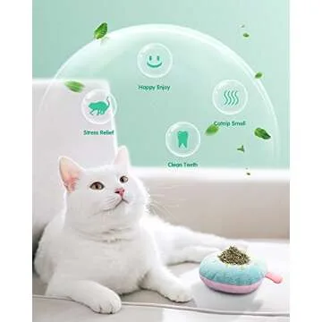 Feeko 6Pcs Catnip Toys, Cat Toys for Indoor Cats, Rattle Sound, Pillows Cat Crinkle Toys, Cats Interactive with Cute Fruits Set, Assorted Kitty Toys, Cat Teething Chew Toy with Plush Gift