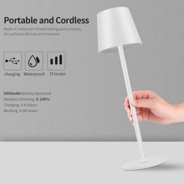 BGFHome Cordless Table Lamp with LED and USB-C Charging