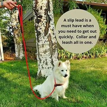 Pet Emergency Kit for Medium Dogs