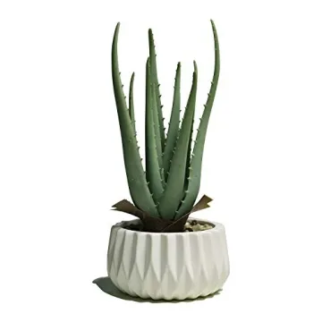 Suntimber Artificial Fake Plant Decor, Aloe Faux Plants in Elegant Ceramic Pot for Bathroom Shelf De...
