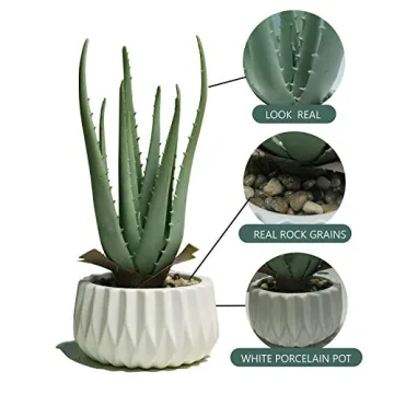 Suntimber Aloe Artificial Plant in Elegant Ceramic Pot
