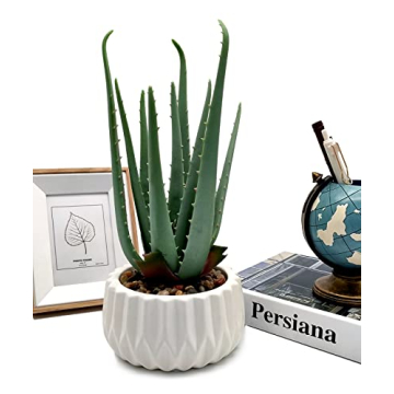 Suntimber Aloe Artificial Plant in Elegant Ceramic Pot
