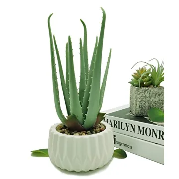 Suntimber Aloe Artificial Plant in Elegant Ceramic Pot