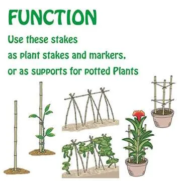 Mininfa Natural Bamboo Garden Stakes 6 FT Eco-Friendly