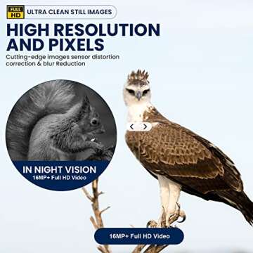 My Animal Command Solar Powered Trail Camera 16MP Night Vision Motion Activated Game Time Lapse Cam, IP66 Waterproof 1080p Spy Outdoor Deer & Wildlife Hunting. Camera Solar Power Pack kit