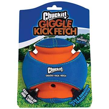 ChuckIt! Kick Fetch Toy Ball - Fun & Durable for Dogs